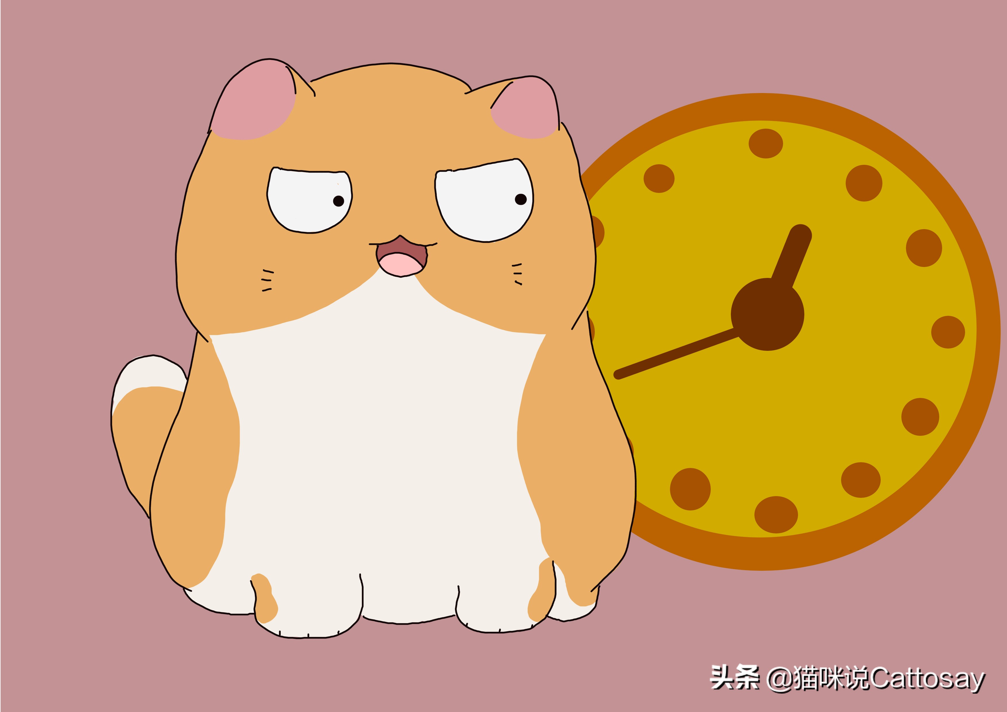 猫挑食硬喂能矫正吗,猫挑食用鸡肝粉拌猫粮