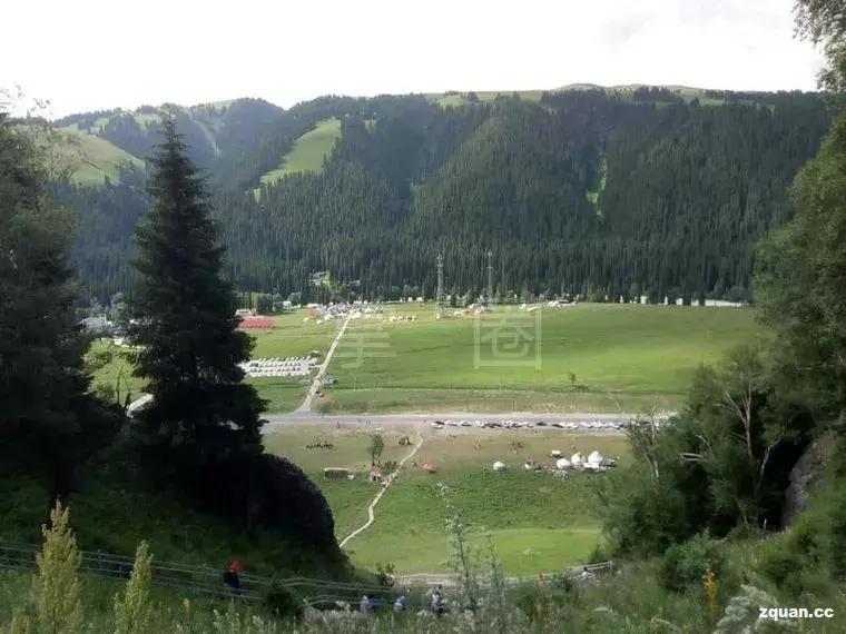 NO.863：阿克苏本地求职招聘、出租转让、农林牧副渔...信息大全