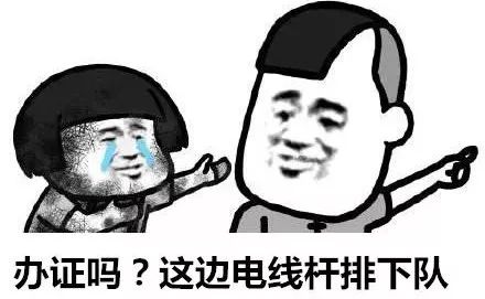 可以代购旅游领队证吗,现在出境游还需要领队证吗