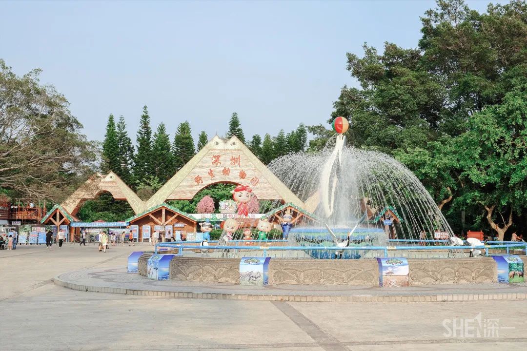 深圳30个经典片区,深圳这座城市承载了太多回忆