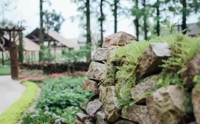 如何打造休闲旅游型美丽乡村,乌村乡村振兴