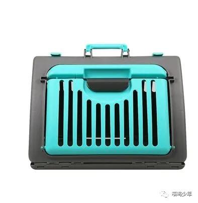 养猫真的很费钱吗？才不是呢。亲身经历告诉你养猫需要多少钱