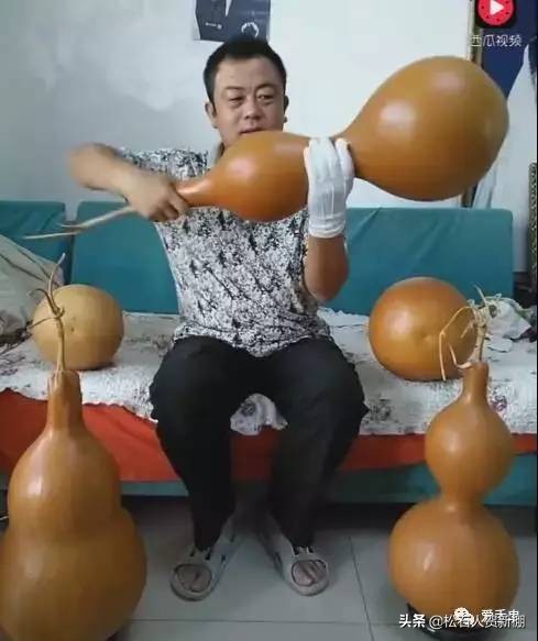 半个手掌大的金刚，一颗值500美元？