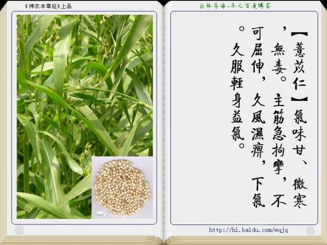 本草纲目中药讲解视频,本草纲目中药图谱及药理讲解