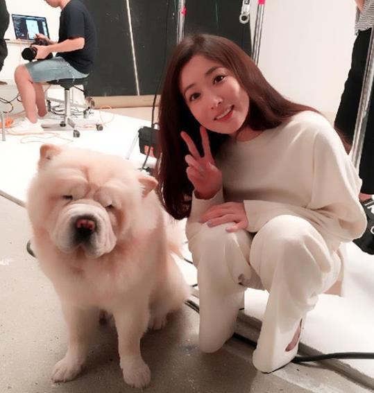 传闻中的七公主二女婿破产,传闻中的七公主下场