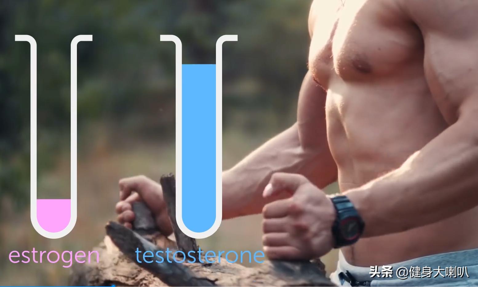 男性怎么调整体内激素,怎么调整男性性激素