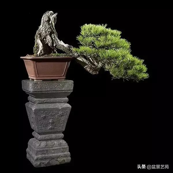 西泠印社砚台最高价拍卖记录,杭州西泠拍卖盆景