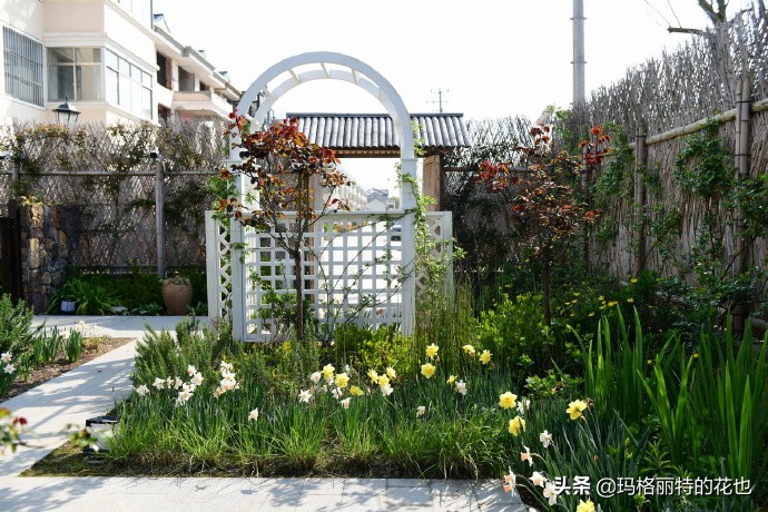 上海洋水仙,上海璞素上居民宿抖音团购