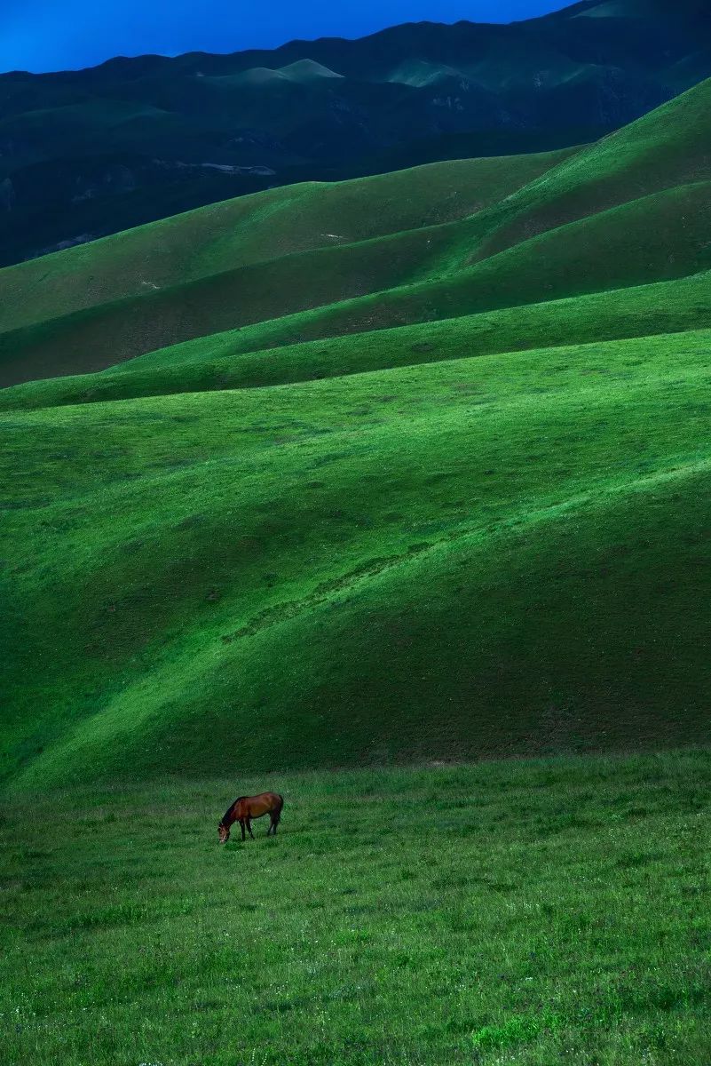 媲美318国道和219国道线路,堪比318美景的国道