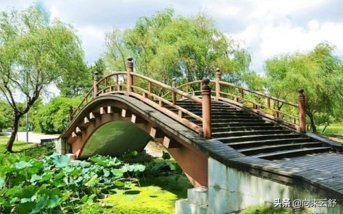 上海世纪公园介绍10月份,上海世纪公园近日游