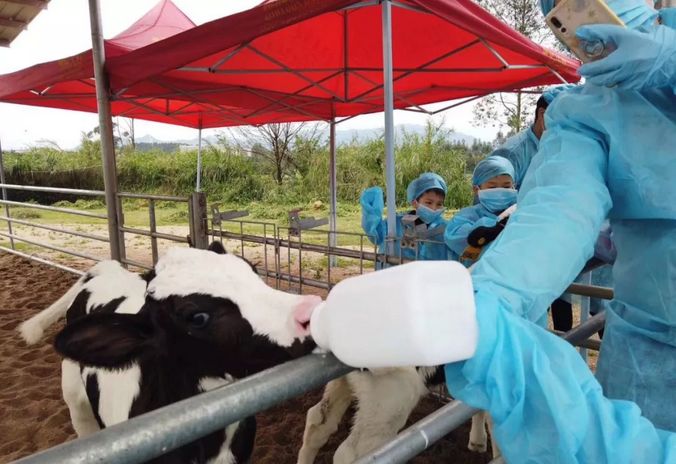 风靡香港79年，连续获得本土牛奶品牌销冠，今天带你解密维记牛奶
