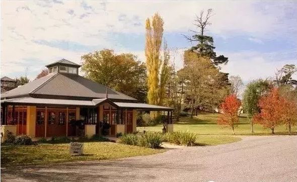 澳大利亚红酒小知识大全,一文了解意大利红酒