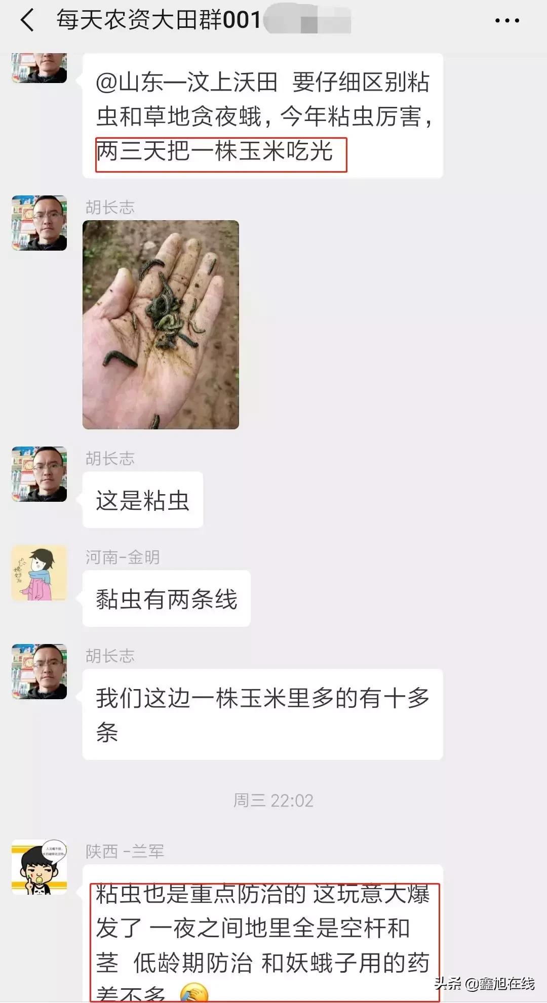 9大肉虫防治，赶紧认清