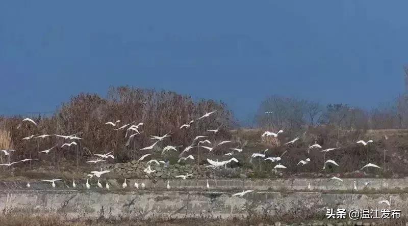 温江健身步道路径,温江健身最好的地方