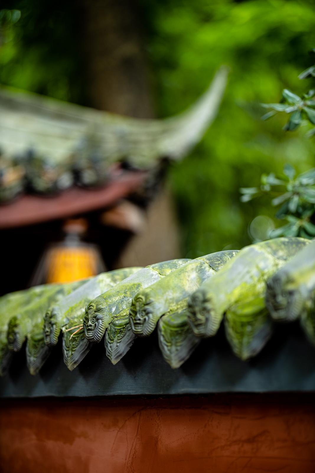 人像镜皇焦段,人像镜皇85mm1.2和1.8