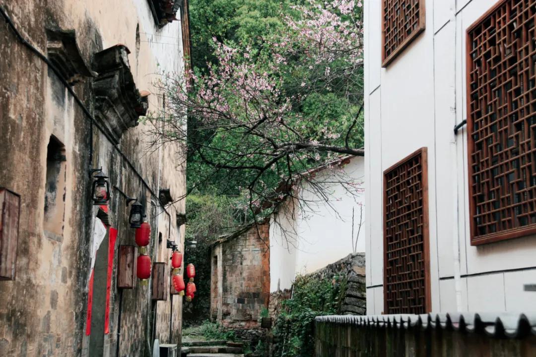 衢州为啥没有衢州鸭头,衢州鸭头不一样