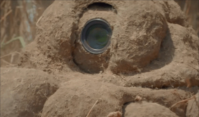 bbc有多有钱,bbc多有钱