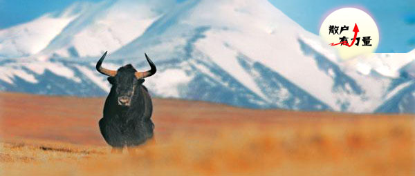 新能源暴跌怎么办,新能源跌的原因