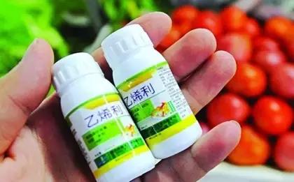 生长素和细胞分裂素是植物激素吗,生长素脱落酸赤霉素细胞分裂素