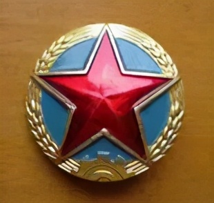 抗美援越中国军队穿的是什么,志愿军抗美援朝出国作战73周年