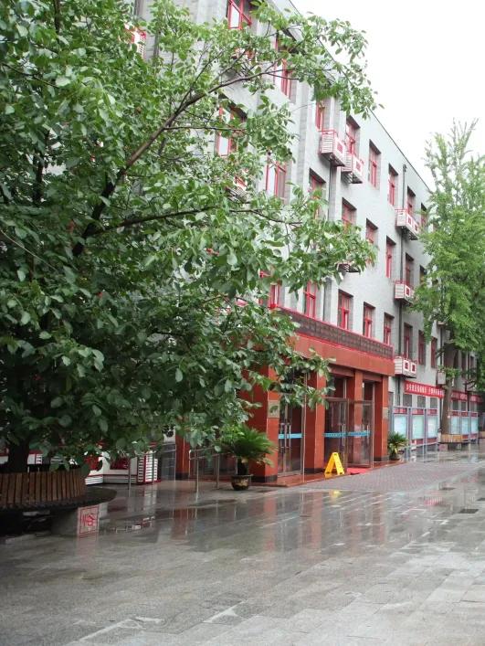 中央美术学院附属实验学校小学,中央美术学院附属实验学校怎么考