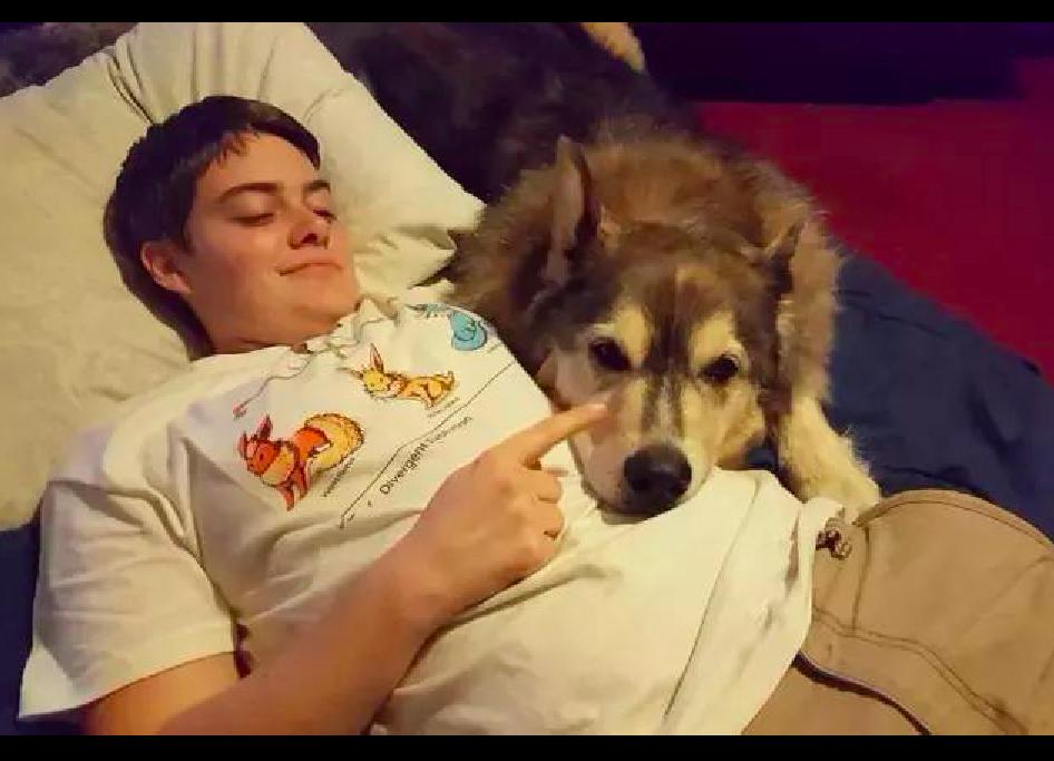 狗狗因肿瘤被无情的抛弃,狗狗恶性肿瘤要安乐死吗