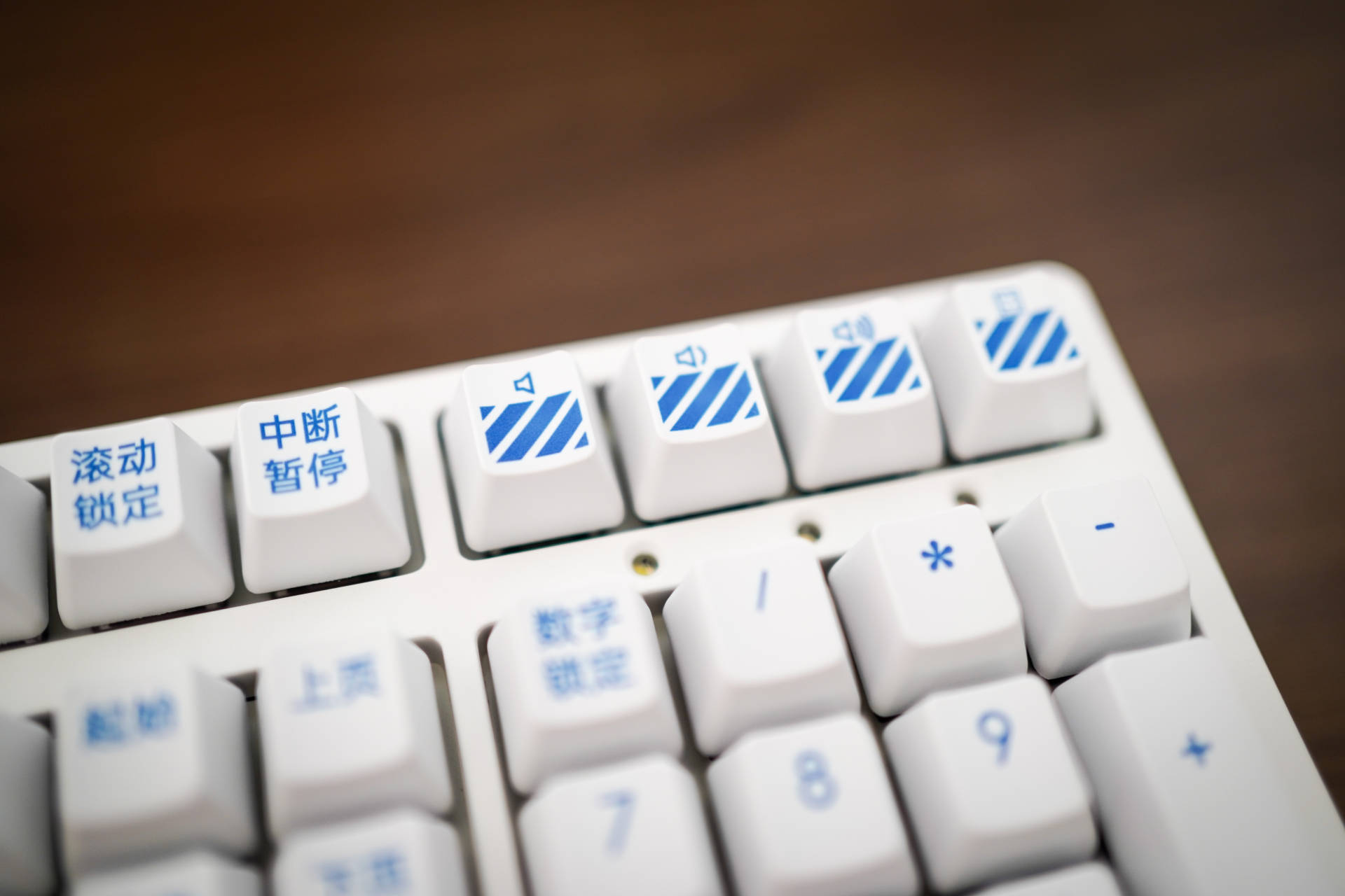 国货不只是情怀与滤镜——四千字聊聊靠谱的国产数码神器