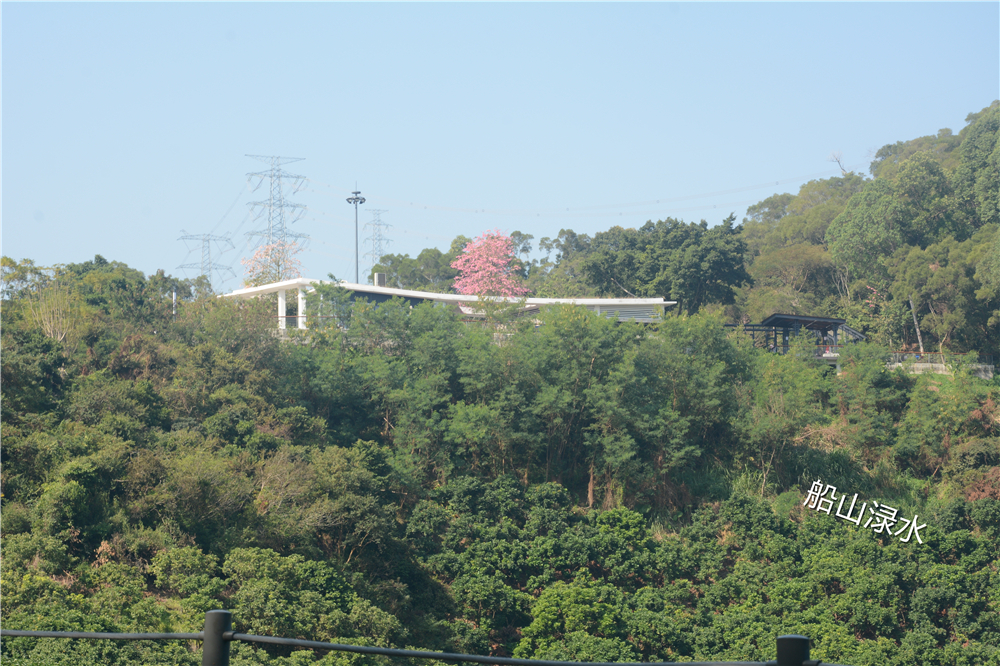 郊野绿道,淘金山绿道到梧桐山绿道