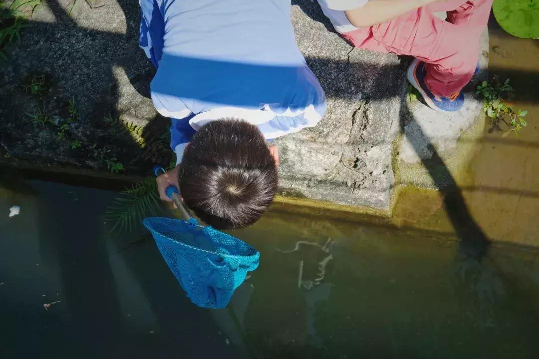 最近的华侨城,独一无二华侨城