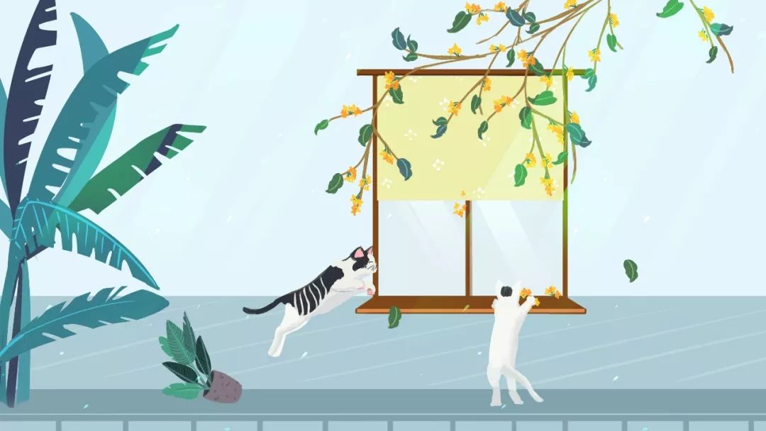 三年级上册语文修辞手法专项练习,小学语文修辞手法专项练习及答案