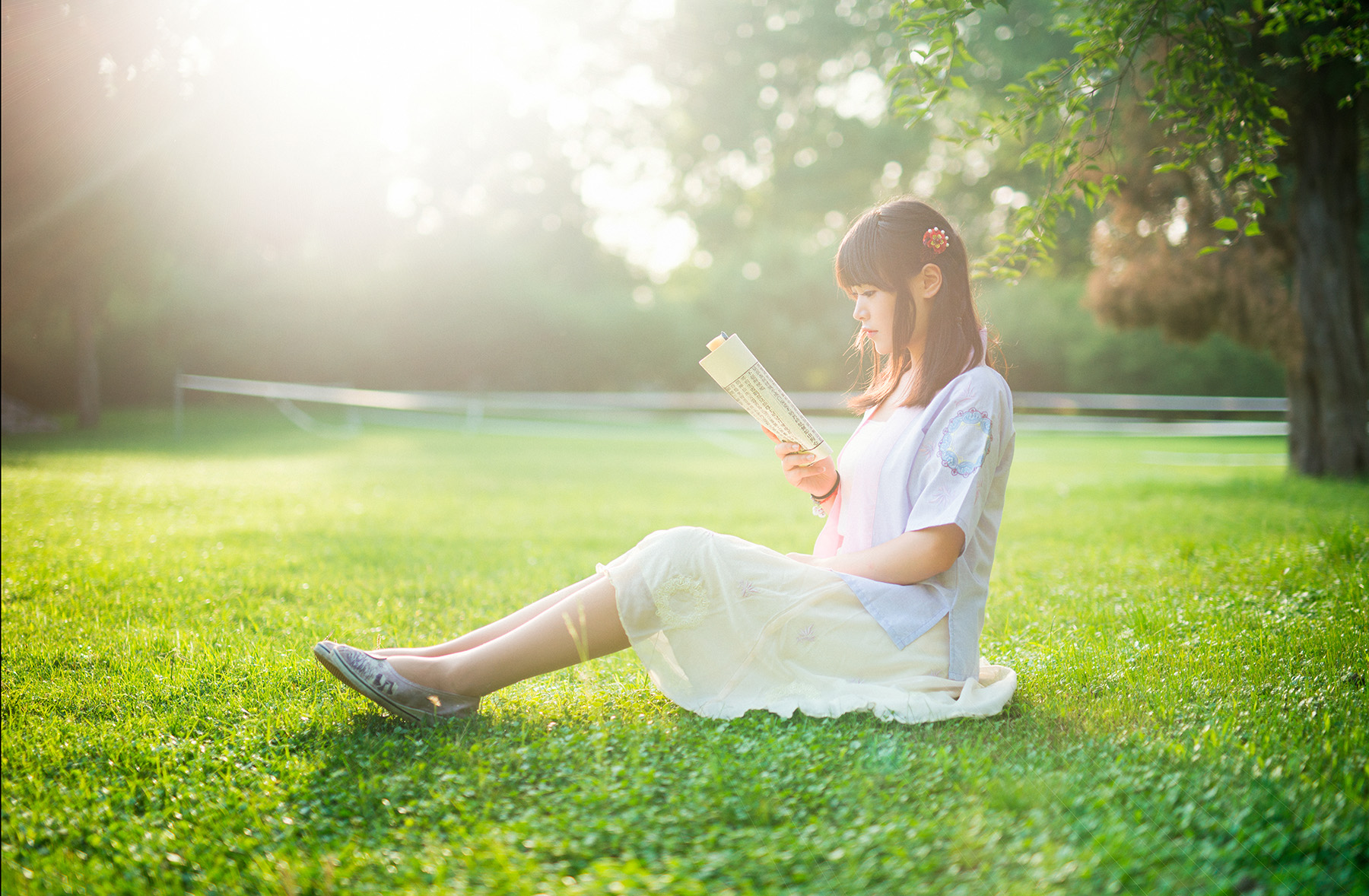 第14篇，尼康相机的标头-2021年元旦快乐