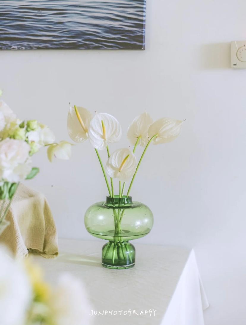 家里要有氛围感什么花比较好,家里高级的花