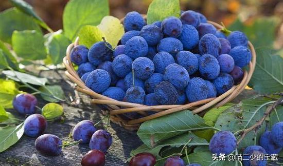 不可错过的美食美景,不可错过的特色美食推荐