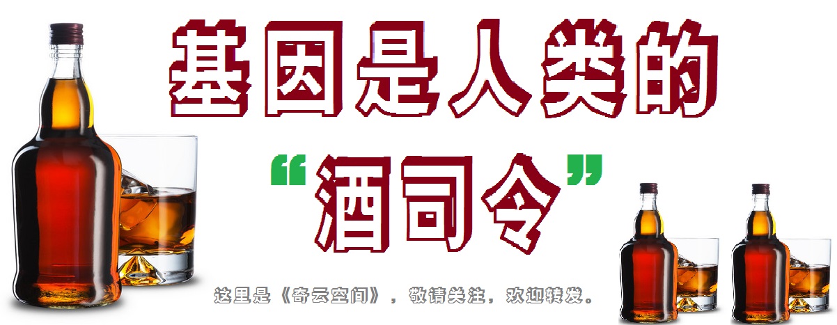 基因是人类的“酒司令”