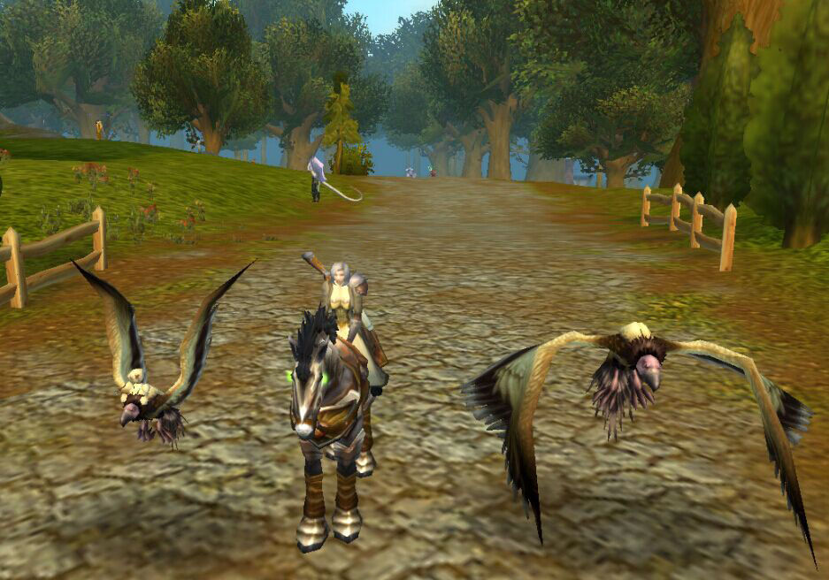 魔兽世界怀旧服没有飞艇,魔兽世界怀旧服没有幻化