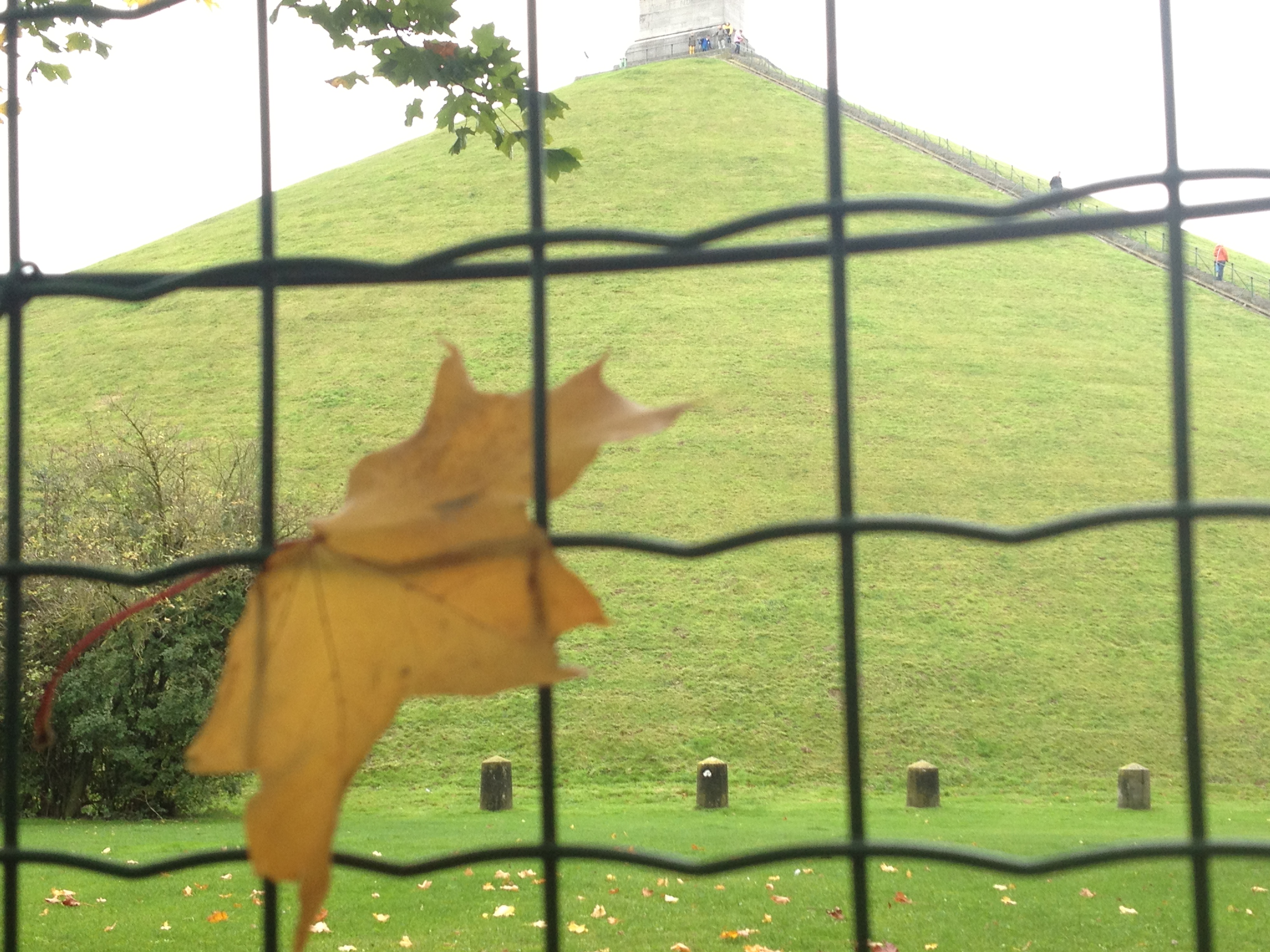 探寻比利时首都布鲁塞尔之美,比利时首都布鲁塞尔景色怡人