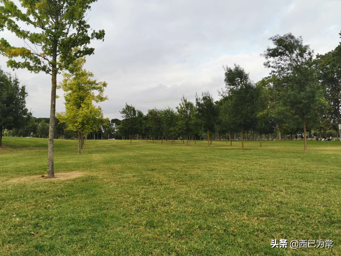 踢野球好不好,踢野球的十大禁忌