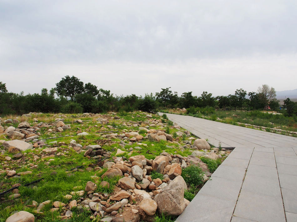 西北大自然鬼斧神工奇观,大西北的风沙肆虐