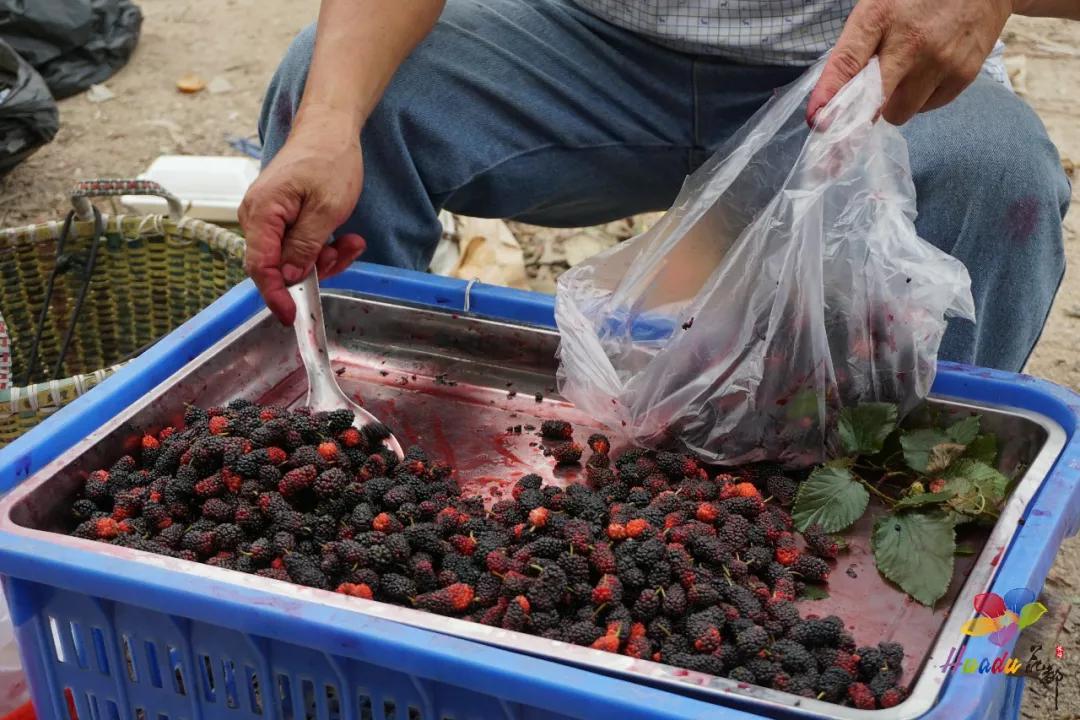 遇见狮岭真实视频,遇见狮子京剧