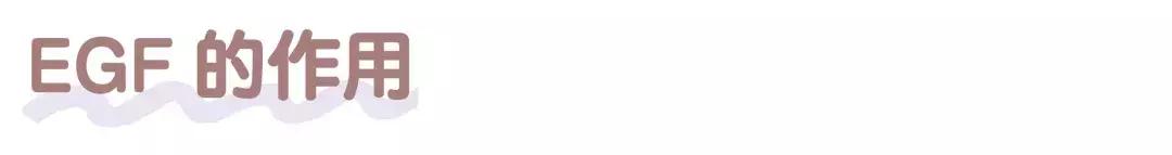 冻干零食真相,揭秘冻干粉好用吗