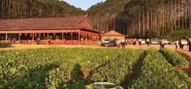 买一送一住宿团购,买一送三的酒店