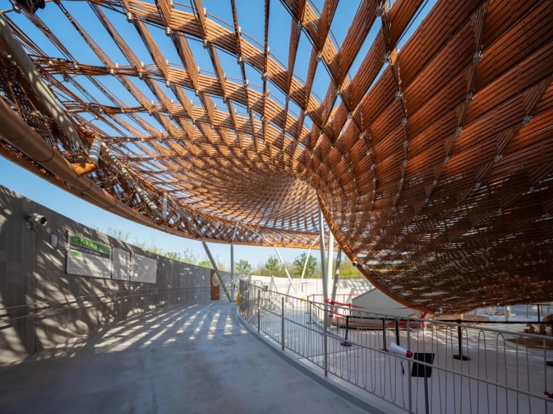 三维编织，第十届中国花卉博览会竹藤馆