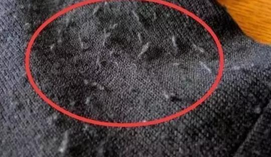 洗完衣服都是纸屑处理妙招,冬季洗完衣服很多毛絮怎么办
