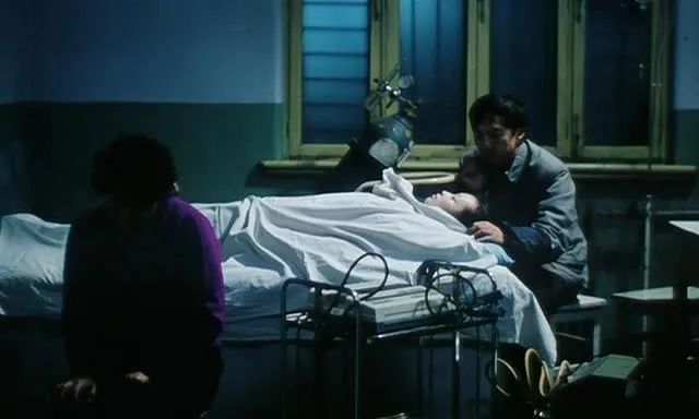 可惜没在中国上映的电影,李冰冰05年电影