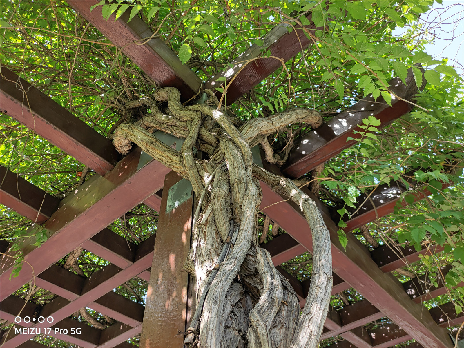 魅族17pro音质,魅族17pro评测