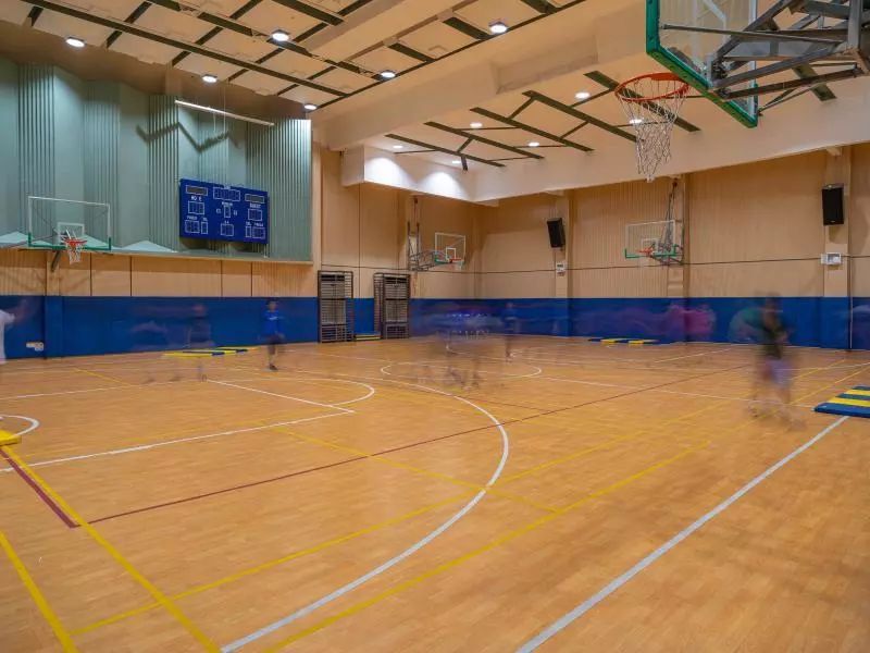 深圳蛇口科爱赛国际学校视频,深圳福田科爱赛国际学校