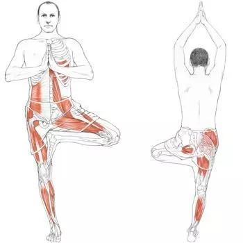 肾虚脾虚最好的偏方,脾虚肾虚不要慌可以试试中医食补