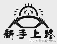 判断一个玉米品种的好坏的标准,新手玉米