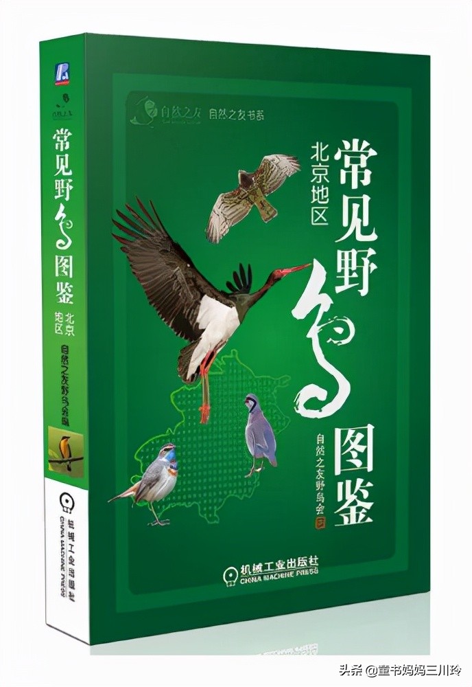 励志越挫越勇书单,培养孩子的抗挫品格