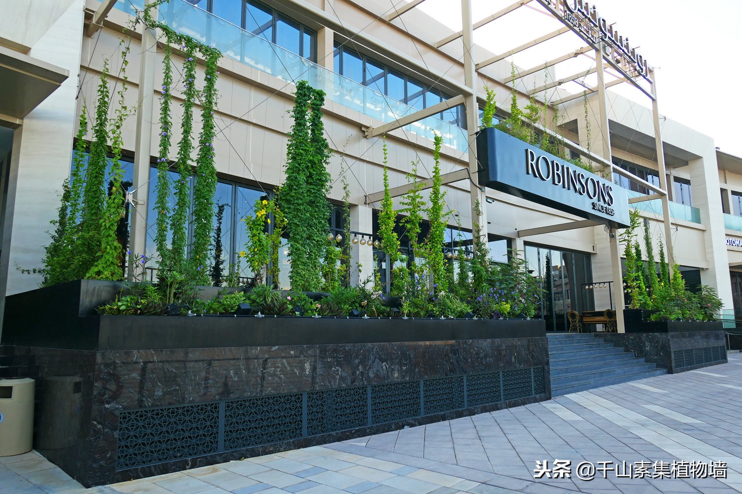 美丽的景观商店效果图,大型仿真植物商业街景观造景装饰